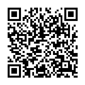 同时每个结丹期大修士也都祭出了自己的本命法宝二维码生成