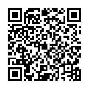 同时清理国内的间谍······我们快一个月都没有休息了二维码生成