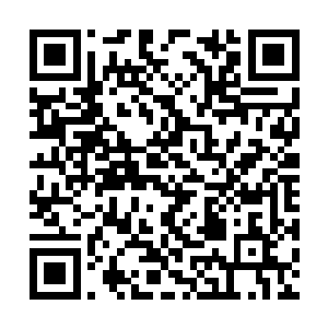 同时用这一年的时间尽快完成统一天下的最终任务二维码生成