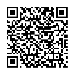 同时目光也再一次落到了虚空之中的两道身影的身上二维码生成