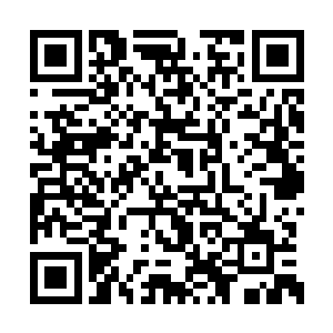 同时祈祷这个雪堆里可千万别埋着其它什么玩意二维码生成