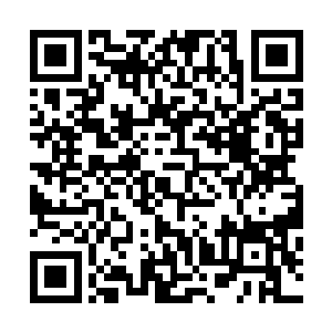 同时端着茶盏的手指尖捻着杯盖慢条斯理地摩挲了一下杯沿二维码生成