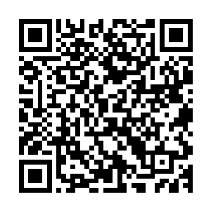 同时肥硕的身体也再一次狠狠的朝着龙傲天的身边飞扑了过来二维码生成