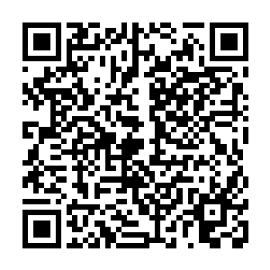 同时脚下还踩着一对火红转轮的可爱男童就这么直接出现在了楚旬等人的面前二维码生成