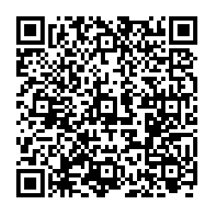同时脸上会出现非常惊恐惊异的表情……他立马意识到了什么――这些NPC并非是系统的产物二维码生成