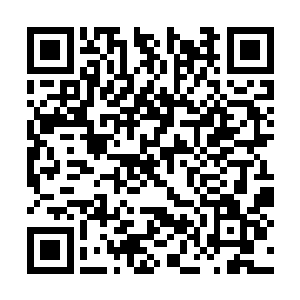 同时观众对奥斯卡的认可也达到了一个全新的高度二维码生成