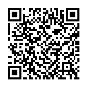 同时许顶天也派了十个弟子回到刚才战斗的地方二维码生成