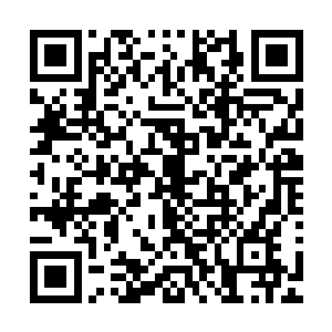 同时身边各自伸出了一只大手抓住了那两个修士向着两旁飞退二维码生成
