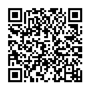 同时还可以在正规军团中通过一场场战役逐渐积累经验二维码生成