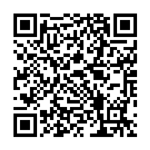 同时还在感受着青梅嗅上的一丝一丝气息渗入自己的身体二维码生成