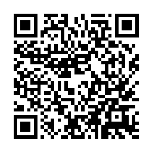 同时还将嘴里的热热的哈气冲着那些蔫蔫的狼头喷过去二维码生成