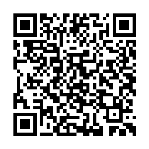 同时还将成为所有粉丝们聚集在一起的狂热派对二维码生成