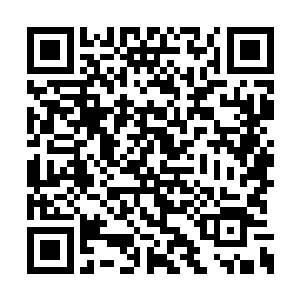 同时还找到了真心对他的龙傲天还有小金两个人二维码生成