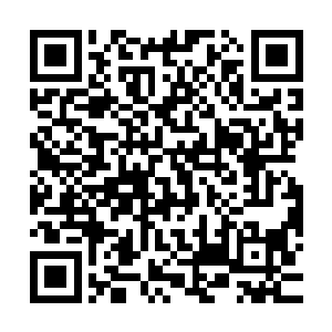 同时还有伟大的冰神在圣界隔着无尽遥远的距离暗中插手布置过二维码生成