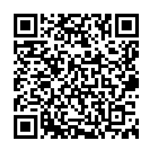 同时还有许多巨大的碑石基底一直通到了这地底二维码生成