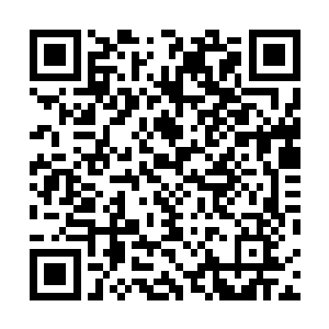 同时还派人原路返回把他们放在外面的这次的成果取回来二维码生成