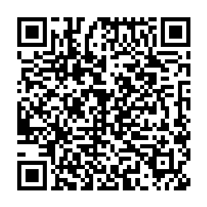 同时还肩负着教导部落中那些年轻的孩子掌握这些必需的生存技能的二维码生成