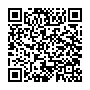 同时这灰蒙蒙的白雾中像是被隔开了无数道口子二维码生成