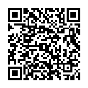 同时那与虎妖对抗的分身则一掌又一掌的打在虎妖头上二维码生成