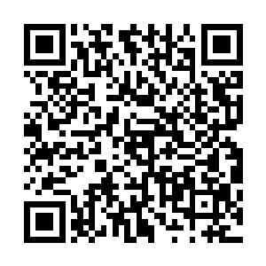 同时那些密密麻麻的蛇嘴之中也是喷涌出一股股炽烈的火焰二维码生成