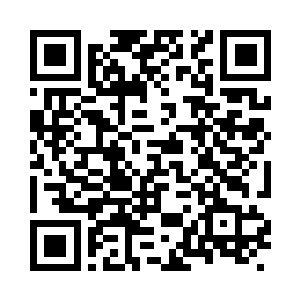 同时采用晶脑和生化脑的双处理系统二维码生成