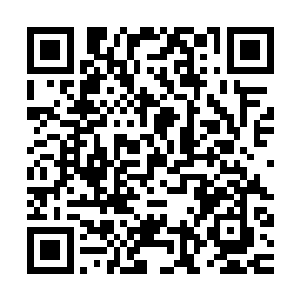 同时针对14日南京各省都督府代会议提出选举临时大总统一事二维码生成