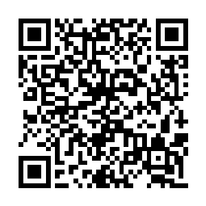同时间正见马超身后一连九条魔龙一一腾飞而出二维码生成