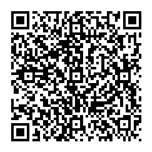 同时陆为民也主动和电杆厂一线职工就一些他们担心的具体问题比如股份配置等问题进行了探讨沟通二维码生成
