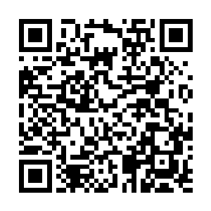 同时露在外面的复眼也仿佛是无法承受这恐怖的力量一样二维码生成
