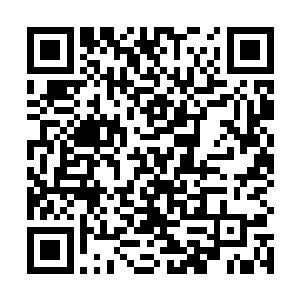 同时面对体术比她更高的残血白金石魔以及满血的影王二维码生成
