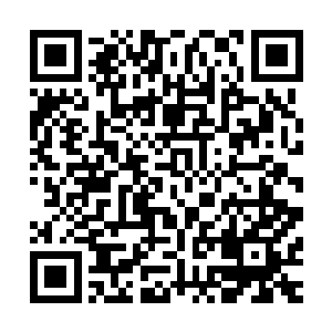 同时龙傲天也心中暗暗的告诫自己尽快的适应到这个世界之中二维码生成