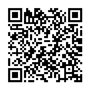 同村的小伙伴们经常听到叔辈在镇上帮派中武者的风光二维码生成