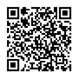 同样一直没说话的夏柏树看到杨三才好像没听到赵长枪的话二维码生成