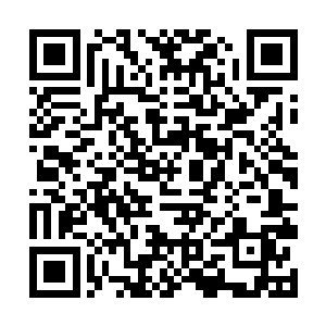 同样不知道依旧蛰伏在金晶塔主控晶脑中的血色心魔二维码生成