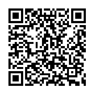 同样也再也没有那个阵道师达到樊天父亲的境界二维码生成
