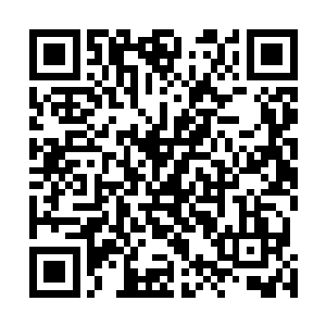 同样也察觉到阿莫里他们没有和兵团战斗的经验这个弱点二维码生成