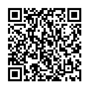 同样也就要求省旅游公司的资金必须一个萝卜一个坑二维码生成