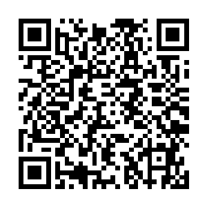 同样也是雨果在夺取了最佳原创剧本之后的茫然和踌躇二维码生成