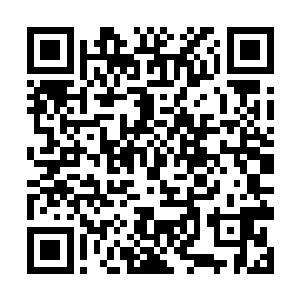 同样也没有感觉到这些九级丹药有来自于未来的能量二维码生成