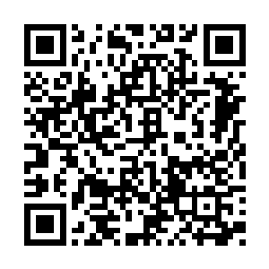 同样也让杨花那个一身大小姐脾气的刁蛮小女孩二维码生成