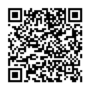 同样他更清楚的是他的大哥还远不是定王的对手二维码生成