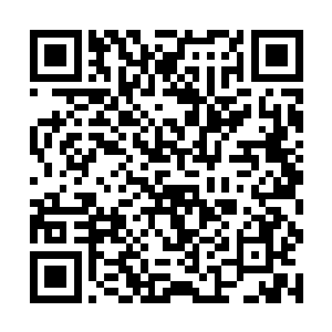 同样出现晨星的几率总比其它巫师家族里面大得多了二维码生成