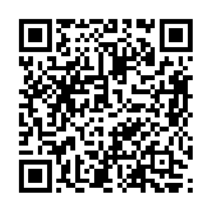 同样受到了现任演艺人协会主席葛承平的极大赞许二维码生成