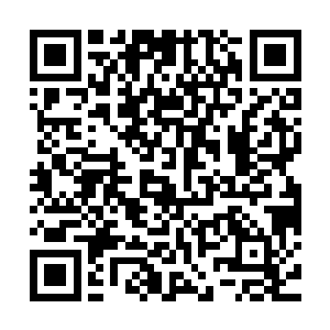 同样可以在监考的眼皮子地下光明正大的作弊而绝对不会被发现二维码生成