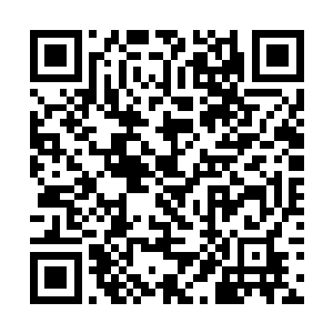同样在院落说话的形六和苍奇等人的脸色却不太好看二维码生成