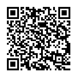 同样是全身披甲的冰原巨熊部落的战士和原艾斯基尔城的城卫军二维码生成