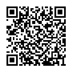 同样是每一招每一式融入到韩风的元神之核当中二维码生成