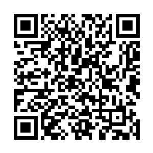 同样是省委常委的石爱国和常委乔阳之间已经是平等的关系二维码生成