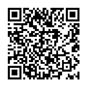同样是碳基生命的蛇虫鼠蚁和猪狗牛羊不配拥有爱情二维码生成