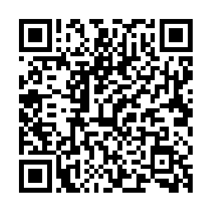 同样有着可怕的存在并且丝毫不弱于大罗金神大圆满的人类高手二维码生成